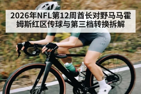 2026年NFL第12周酋长对野马马霍姆斯红区传球与第三档转换拆解